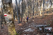 Anello Monte Ocone (1410 m) e Corna Camozzera (1452 m) dal Pertus (1300 m) l’8 aprile 2017 - FOTOGALLERY